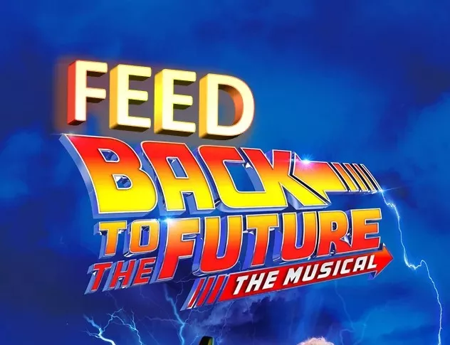 feedback2